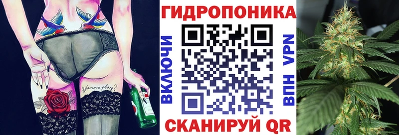 Марихуана SATIVA & INDICA  Купить закладки  Короча 
